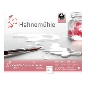Hahnemühle Expression akvarel papir | Various Sizes