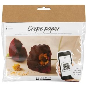 Mini kreativni set | Makovi od krep papira