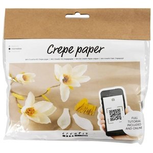Mini kreativni set | Grančica magnolije od krep papira