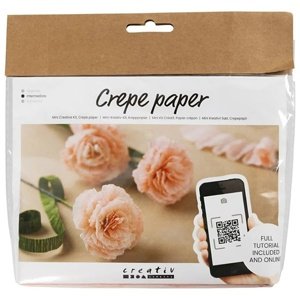 Mini kreativni set | Karanfili od krep papira