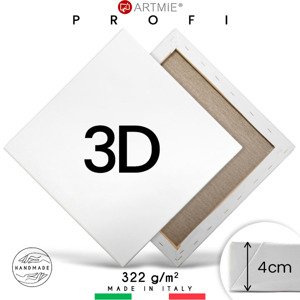 3D Slikarsko platno na okviru PROFI | odaberite dimenziju
