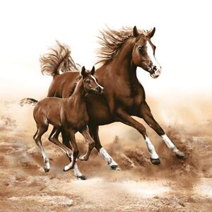 Salveta za dekupaž Horses - 1 kom (Salvete za dekupaž)