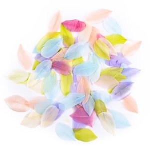 Dekorativno perje 6 cm - Pastel (Dekorativna pera)