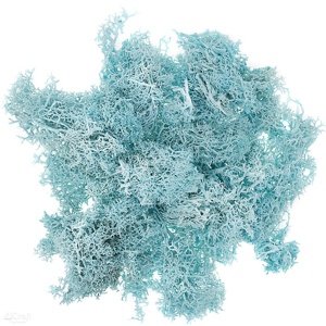 Prirodna mahovina 30 g | izaberi nijansu (mahovina za)